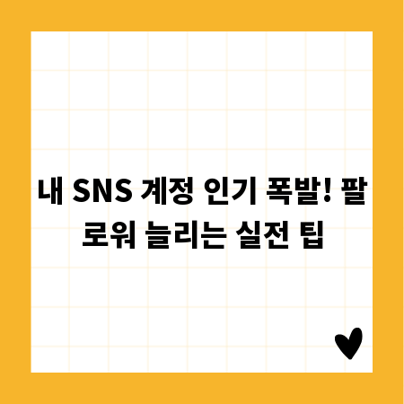 내 SNS 계정 인기 폭발! 팔로워 늘리는 실전 팁
