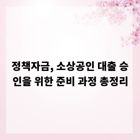 정책자금, 소상공인 대출 승인을 위한 준비 과정 총정리
