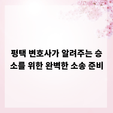 평택 변호사가 알려주는 승소를 위한 완벽한 소송 준비