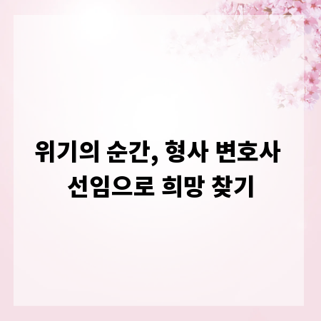위기의 순간, 형사 변호사 선임으로 희망 찾기