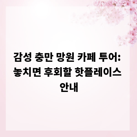 감성 충만 망원 카페 투어: 놓치면 후회할 핫플레이스 안내