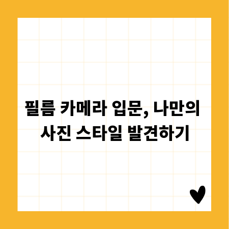필름 카메라 입문, 나만의 사진 스타일 발견하기