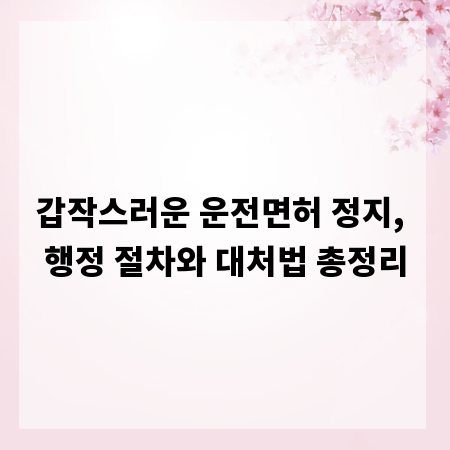 갑작스러운 운전면허 정지, 행정 절차와 대처법 총정리