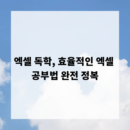 엑셀 독학, 효율적인 엑셀 공부법 완전 정복