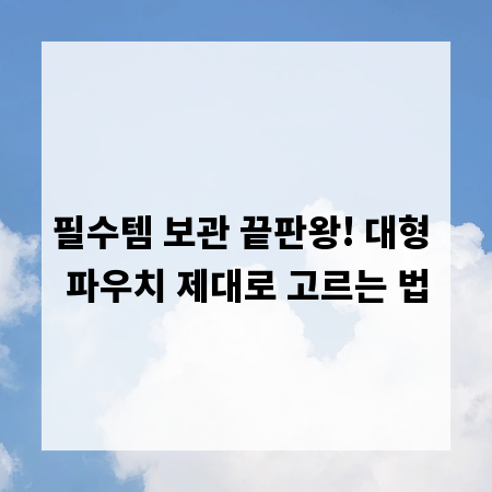 필수템 보관 끝판왕! 대형 파우치 제대로 고르는 법
