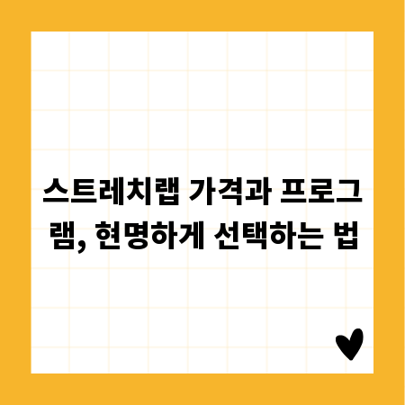 스트레치랩 가격과 프로그램, 현명하게 선택하는 법