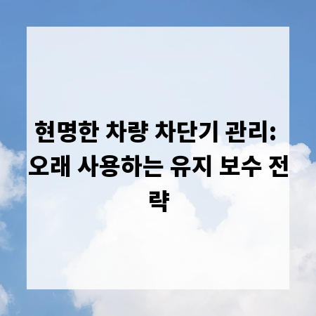 현명한 차량 차단기 관리: 오래 사용하는 유지 보수 전략