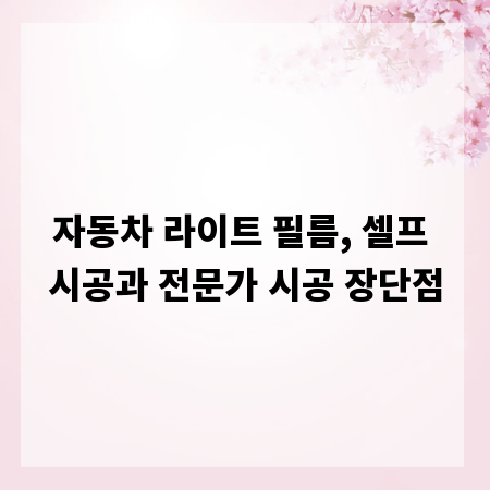 자동차 라이트 필름, 셀프 시공과 전문가 시공 장단점