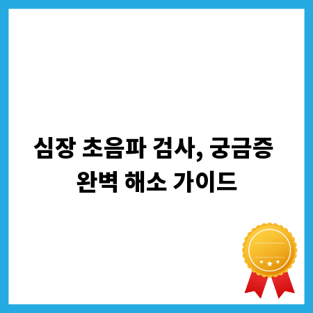 심장 초음파 검사, 궁금증 완벽 해소 가이드
