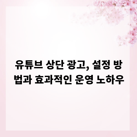 유튜브 상단 광고, 설정 방법과 효과적인 운영 노하우