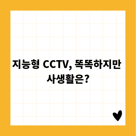 지능형 CCTV, 똑똑하지만 사생활은?
