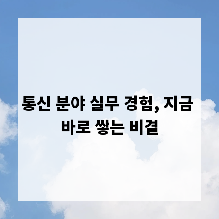 통신 분야 실무 경험, 지금 바로 쌓는 비결
