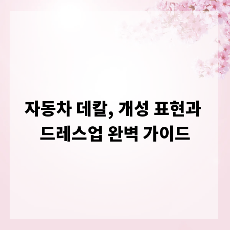 자동차 데칼, 개성 표현과 드레스업 완벽 가이드
