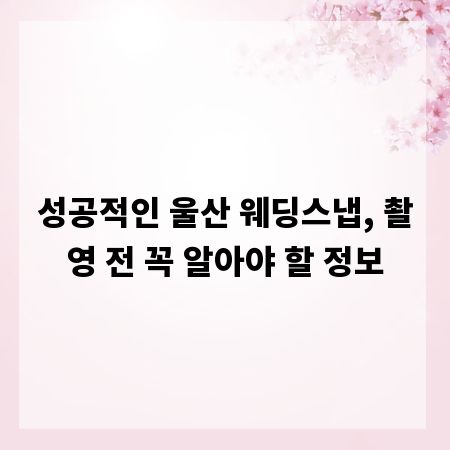 성공적인 울산 웨딩스냅, 촬영 전 꼭 알아야 할 정보