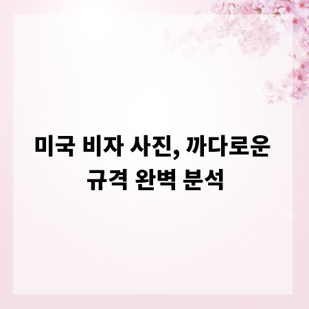 미국 비자 사진, 까다로운 규격 완벽 분석