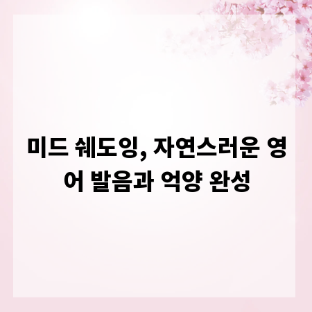 미드 쉐도잉, 자연스러운 영어 발음과 억양 완성