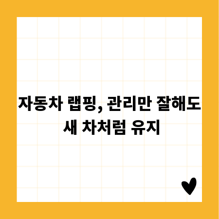 자동차 랩핑, 관리만 잘해도 새 차처럼 유지