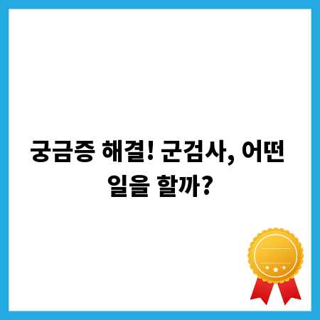 궁금증 해결! 군검사, 어떤 일을 할까?