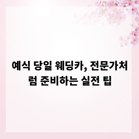 예식 당일 웨딩카, 전문가처럼 준비하는 실전 팁