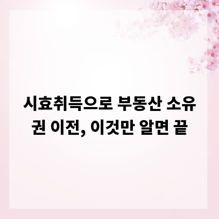 시효취득으로 부동산 소유권 이전, 이것만 알면 끝