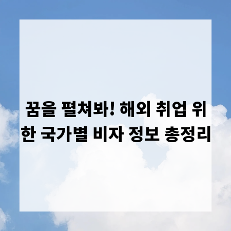 꿈을 펼쳐봐! 해외 취업 위한 국가별 비자 정보 총정리