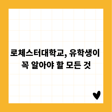 로체스터대학교, 유학생이 꼭 알아야 할 모든 것