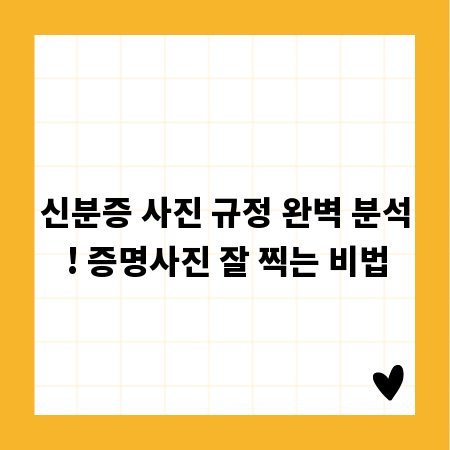 신분증 사진 규정 완벽 분석! 증명사진 잘 찍는 비법