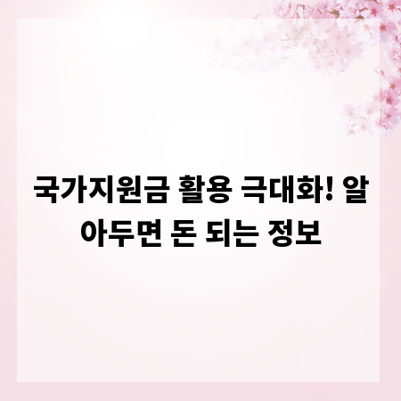 국가지원금 활용 극대화! 알아두면 돈 되는 정보