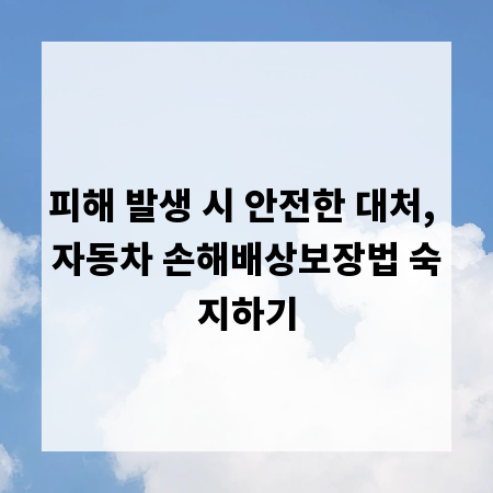 피해 발생 시 안전한 대처, 자동차 손해배상보장법 숙지하기