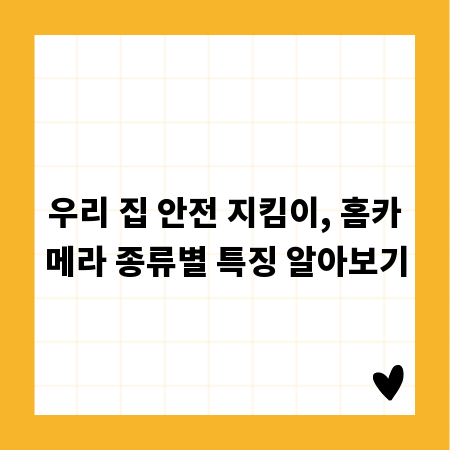 우리 집 안전 지킴이, 홈카메라 종류별 특징 알아보기