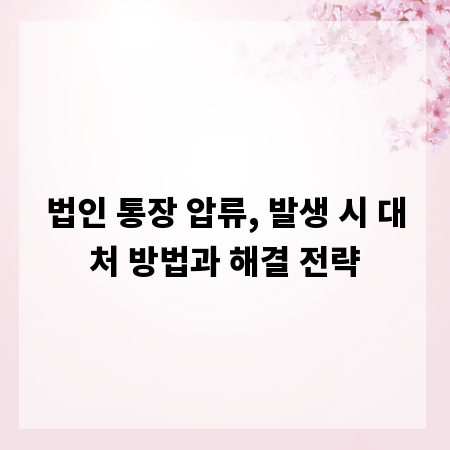 법인 통장 압류, 발생 시 대처 방법과 해결 전략