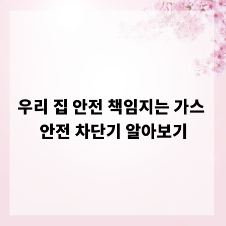 우리 집 안전 책임지는 가스 안전 차단기 알아보기