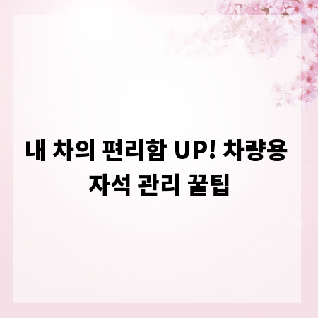 내 차의 편리함 UP! 차량용 자석 관리 꿀팁
