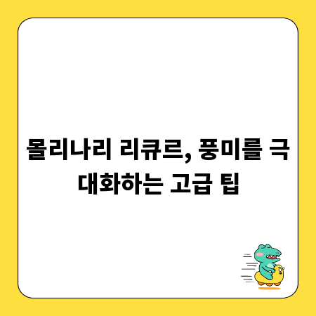 몰리나리 리큐르, 풍미를 극대화하는 고급 팁