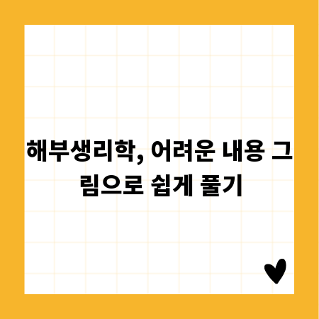 해부생리학, 어려운 내용 그림으로 쉽게 풀기
