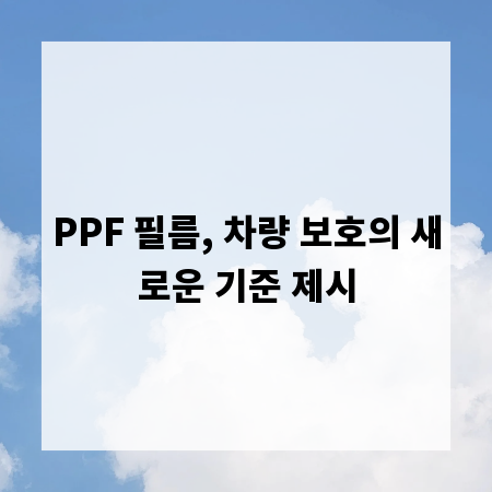 PPF 필름, 차량 보호의 새로운 기준 제시
