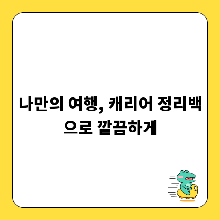 나만의 여행, 캐리어 정리백으로 깔끔하게