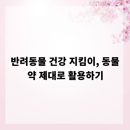 반려동물 건강 지킴이, 동물약 제대로 활용하기