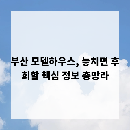 부산 모델하우스, 놓치면 후회할 핵심 정보 총망라