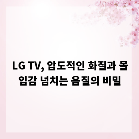 LG TV, 압도적인 화질과 몰입감 넘치는 음질의 비밀