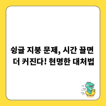 슁글 지붕 문제, 시간 끌면 더 커진다! 현명한 대처법