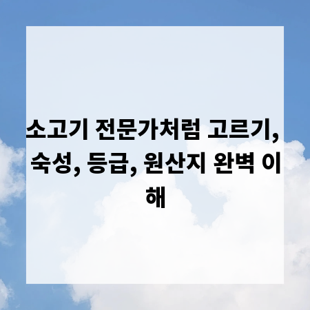 소고기 전문가처럼 고르기, 숙성, 등급, 원산지 완벽 이해