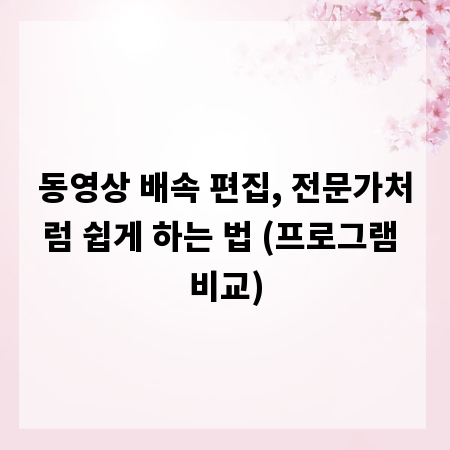 동영상 배속 편집, 전문가처럼 쉽게 하는 법 (프로그램 비교)