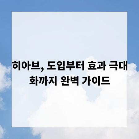 히아브, 도입부터 효과 극대화까지 완벽 가이드