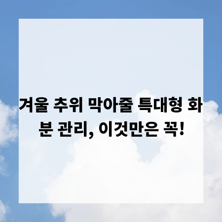 겨울 추위 막아줄 특대형 화분 관리, 이것만은 꼭!