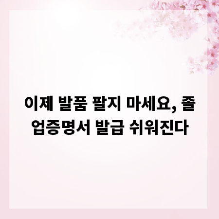 이제 발품 팔지 마세요, 졸업증명서 발급 쉬워진다