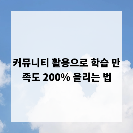 커뮤니티 활용으로 학습 만족도 200% 올리는 법