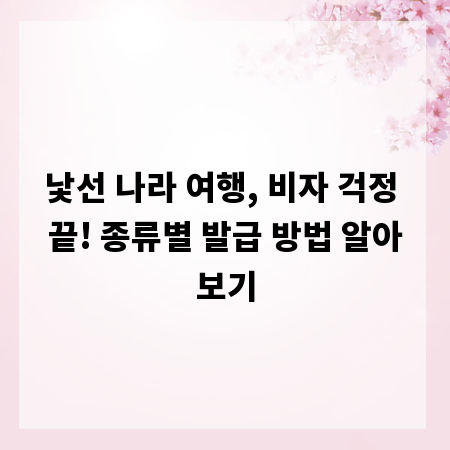 낯선 나라 여행, 비자 걱정 끝! 종류별 발급 방법 알아보기