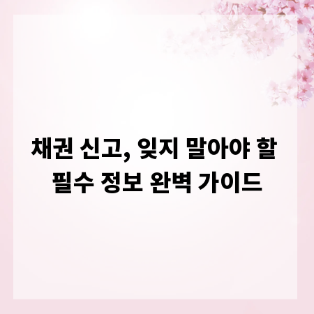 채권 신고, 잊지 말아야 할 필수 정보 완벽 가이드