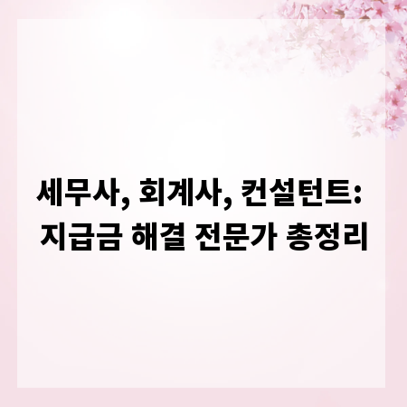세무사, 회계사, 컨설턴트: 지급금 해결 전문가 총정리